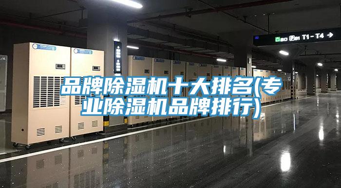 品牌蘑菇视频网站十大排名(專業蘑菇视频网站品牌排行)
