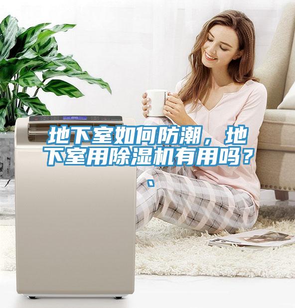 地下室如何防潮，地下室用蘑菇视频网站有用嗎？、