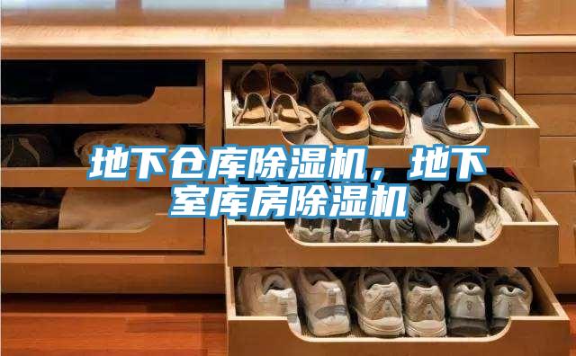 地下倉庫蘑菇视频网站，地下室庫房蘑菇视频网站