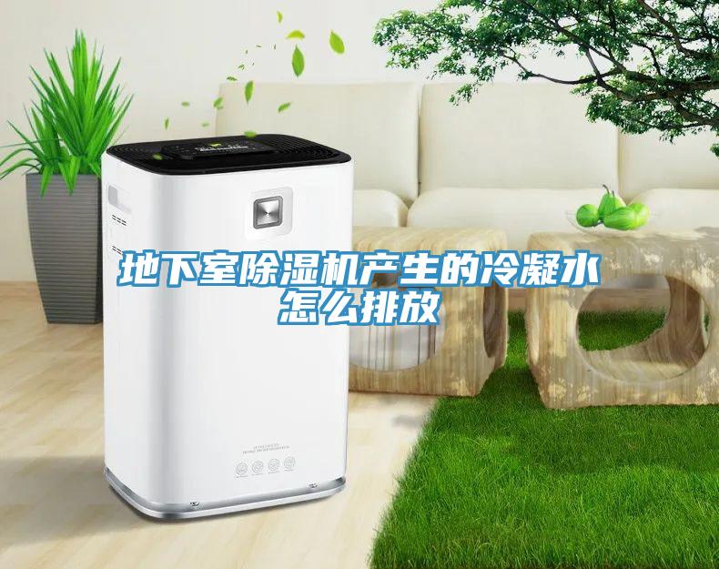 地下室蘑菇视频网站產生的冷凝水怎麽排放