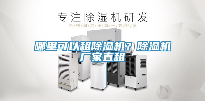 哪裏可以租蘑菇视频网站？蘑菇视频网站廠家直租