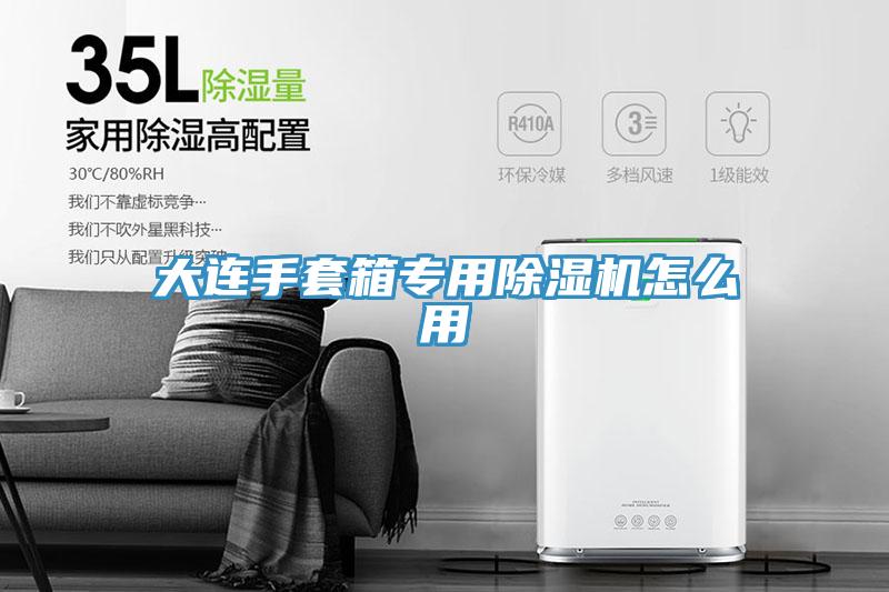 大連手套箱專用蘑菇视频网站怎麽用