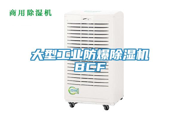 大型工業防爆蘑菇视频网站BCF
