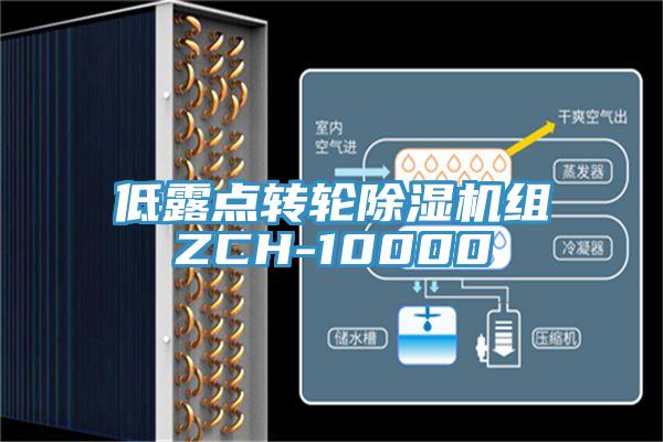 低露點轉輪蘑菇视频网站組ZCH-10000