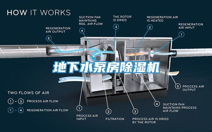 地下水泵房蘑菇视频网站