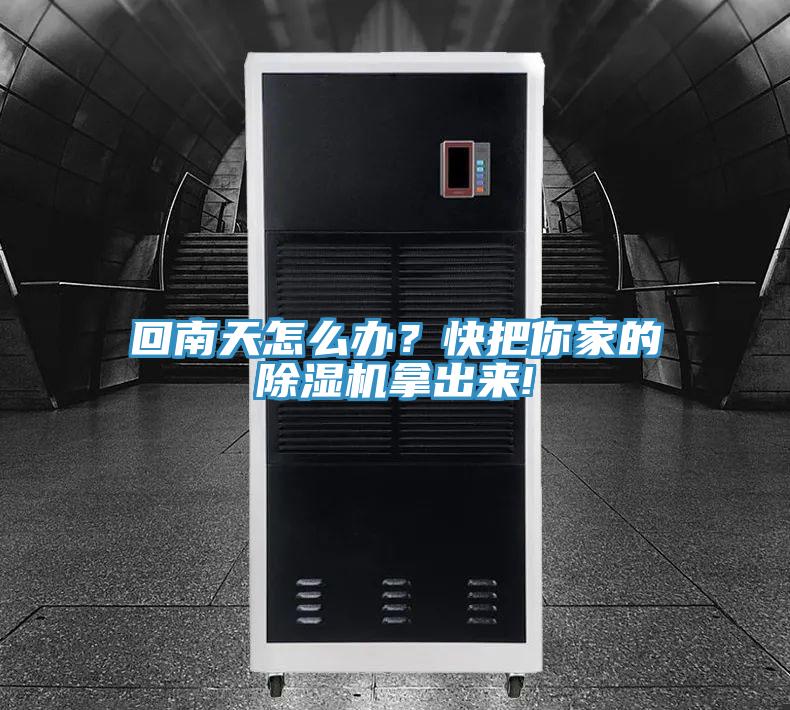 回南天怎麽辦？快把你家的蘑菇视频网站拿出來!