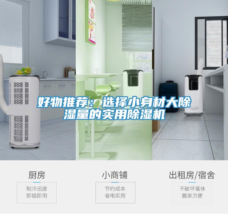 好物推薦：選擇小身材大除濕量的實用蘑菇视频网站