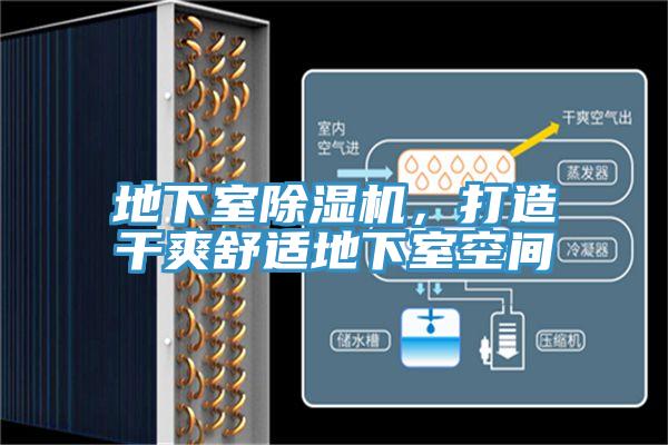 地下室蘑菇视频网站，打造幹爽舒適地下室空間