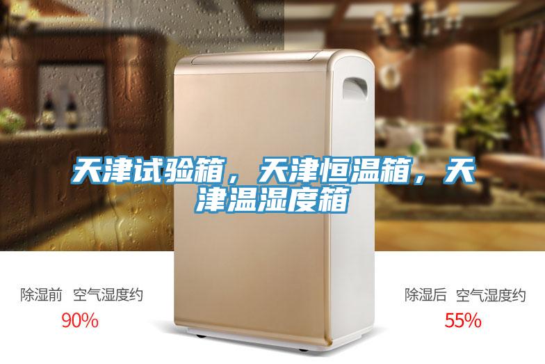 天津試驗箱，天津恒溫箱，天津溫濕度箱