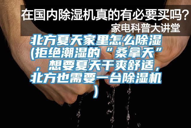 北方夏天家裏怎麽除濕(拒絕潮濕的“桑拿天”，想要夏天幹爽舒適，北方也需要一台蘑菇视频网站)