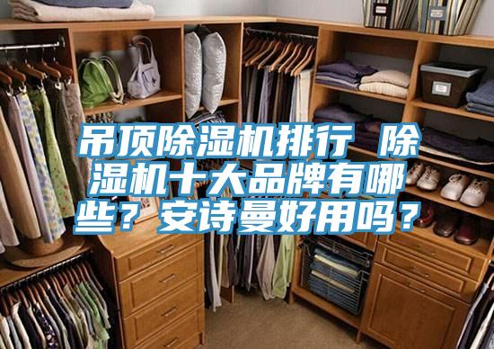 吊頂蘑菇视频网站排行 蘑菇视频网站十大品牌有哪些？蘑菇官方网站下载入口安卓好用嗎？