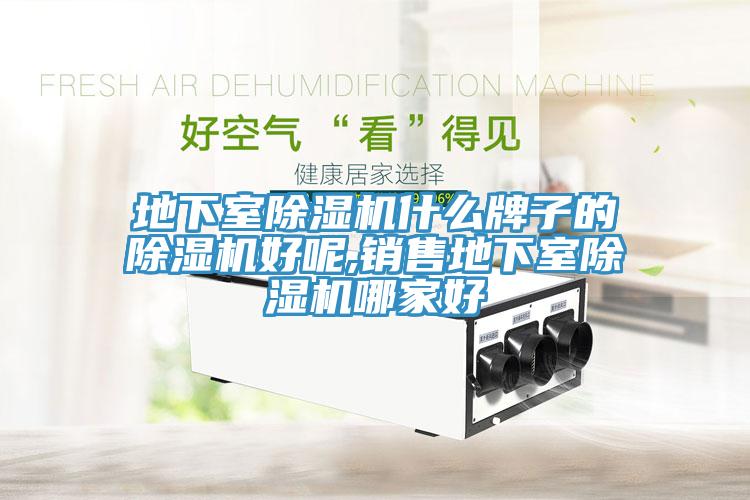 地下室蘑菇视频网站什麽牌子的蘑菇视频网站好呢,銷售地下室蘑菇视频网站哪家好