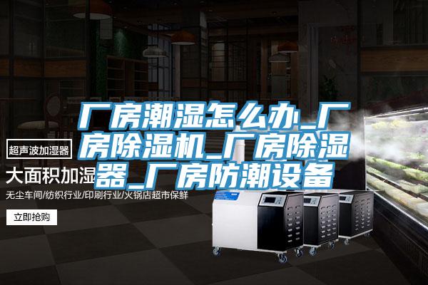 廠房潮濕怎麽辦_廠房蘑菇视频网站_廠房除濕器_廠房防潮設備