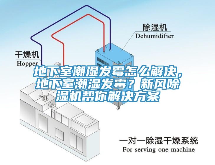 地下室潮濕發黴怎麽解決，地下室潮濕發黴？新風蘑菇视频网站幫你解決方案