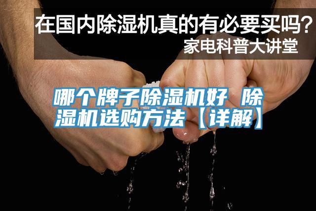 哪個牌子蘑菇视频网站好 蘑菇视频网站選購方法【詳解】