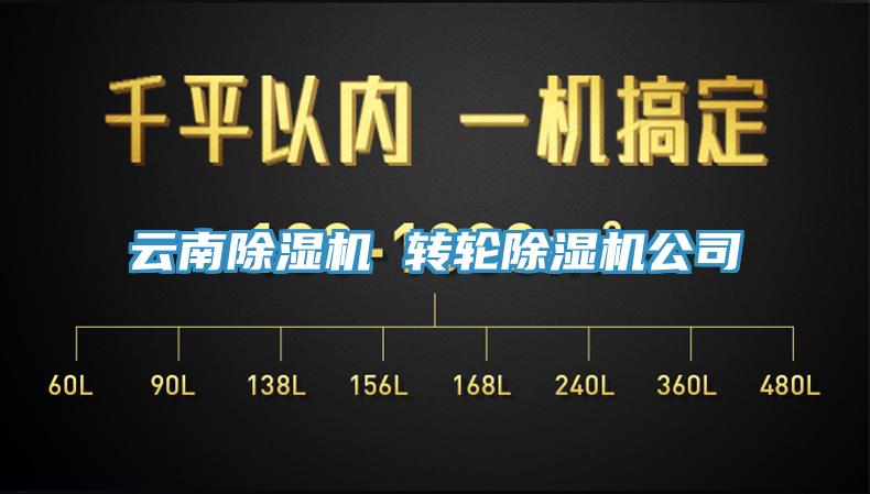雲南蘑菇视频网站 轉輪蘑菇视频网站公司