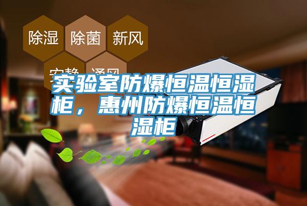 實驗室防爆恒溫恒濕櫃，惠州防爆恒溫恒濕櫃