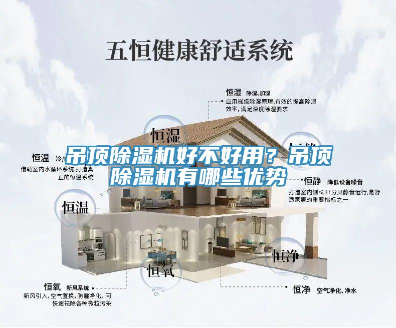 吊頂蘑菇视频网站好不好用？吊頂蘑菇视频网站有哪些優勢