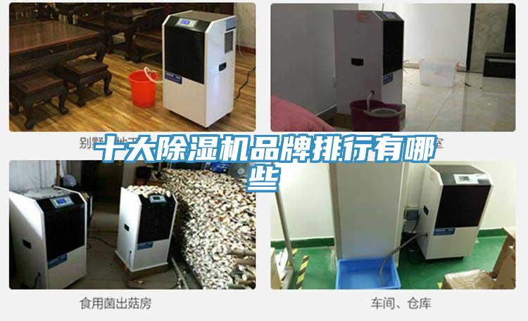 十大蘑菇视频网站品牌排行有哪些