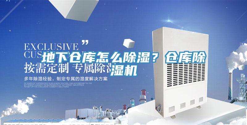 地下倉庫怎麽除濕？倉庫蘑菇视频网站