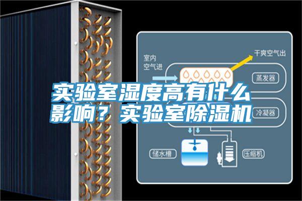 實驗室濕度高有什麽影響？實驗室蘑菇视频网站