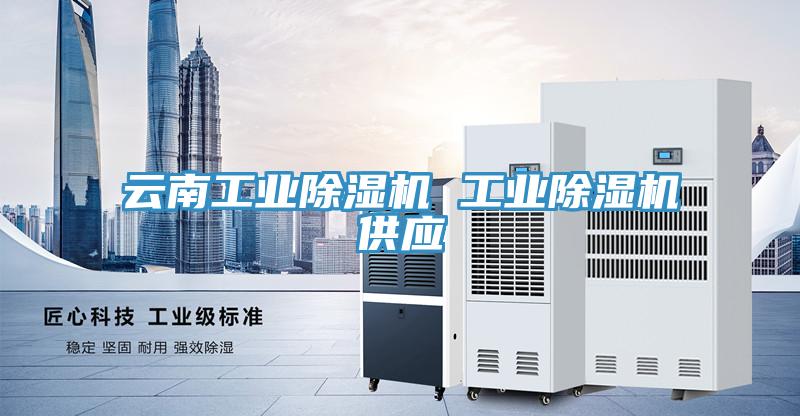 雲南工業蘑菇视频网站 工業蘑菇视频网站供應