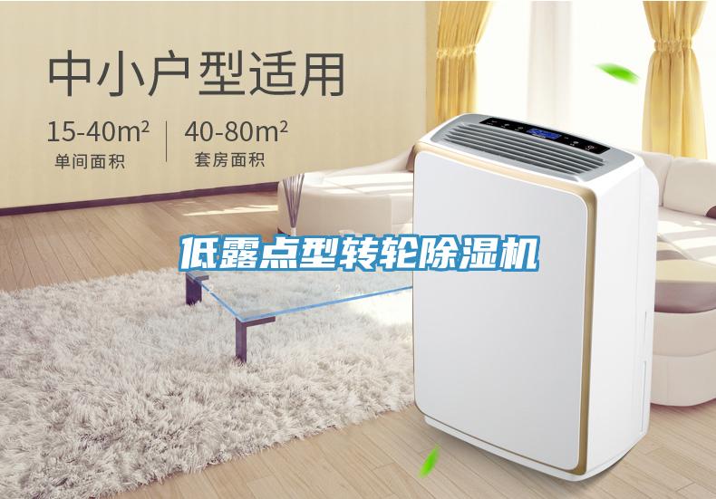 低露點型轉輪蘑菇视频网站
