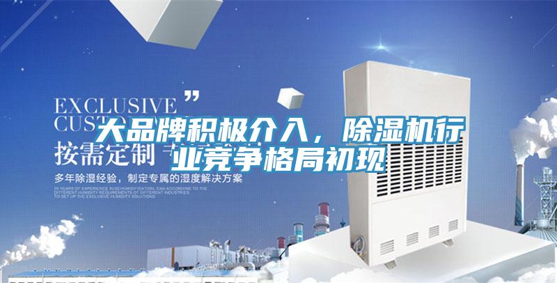 大品牌積極介入，蘑菇视频网站行業競爭格局初現