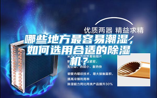 哪些地方最容易潮濕，如何選用合適的蘑菇视频网站？