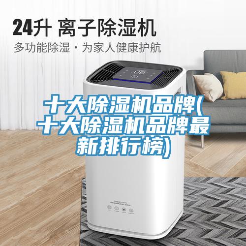 十大蘑菇视频网站品牌(十大蘑菇视频网站品牌最新排行榜)