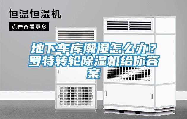 地下車庫潮濕怎麽辦？羅特轉輪蘑菇视频网站給你答案