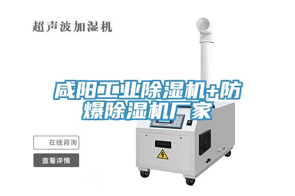 鹹陽工業蘑菇视频网站+防爆蘑菇视频网站廠家