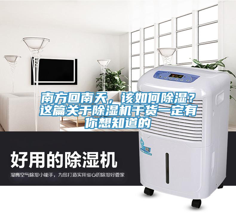 南方回南天，該如何除濕？這篇關於蘑菇视频网站幹貨一定有你想知道的