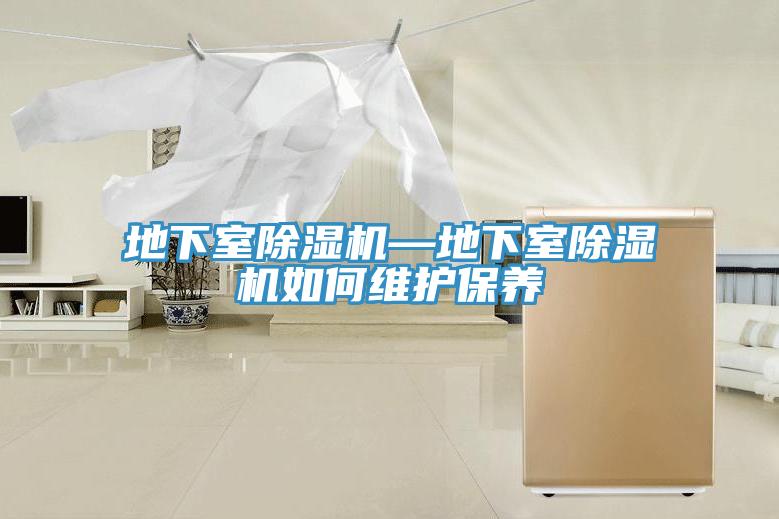 地下室蘑菇视频网站—地下室蘑菇视频网站如何維護保養
