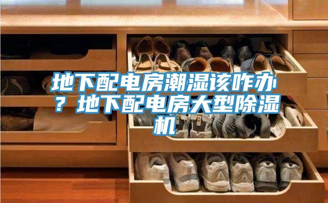 地下配電房潮濕該咋辦？地下配電房大型蘑菇视频网站