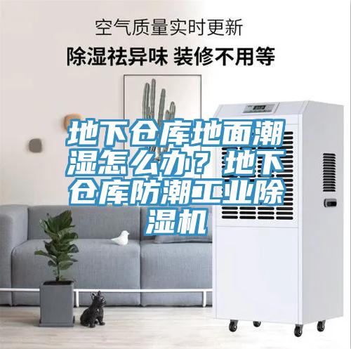 地下倉庫地麵潮濕怎麽辦？地下倉庫防潮工業蘑菇视频网站