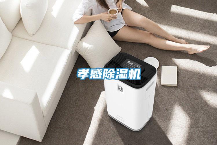 孝感蘑菇视频网站