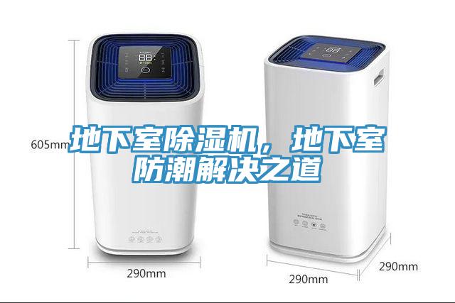 地下室蘑菇视频网站，地下室防潮解決之道