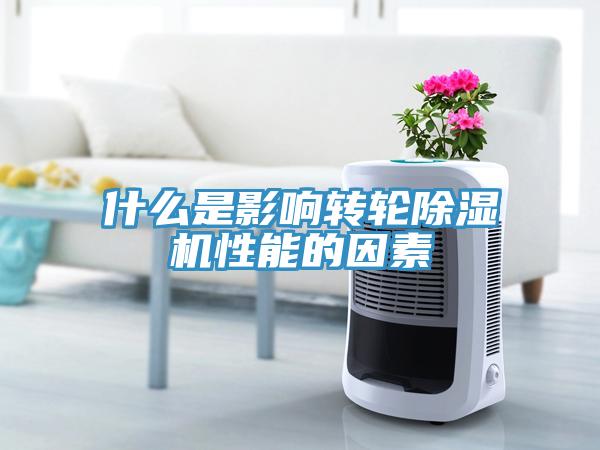 什麽是影響轉輪蘑菇视频网站性能的因素