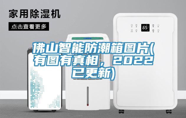 佛山智能防潮箱圖片(有圖有真相，2022已更新)