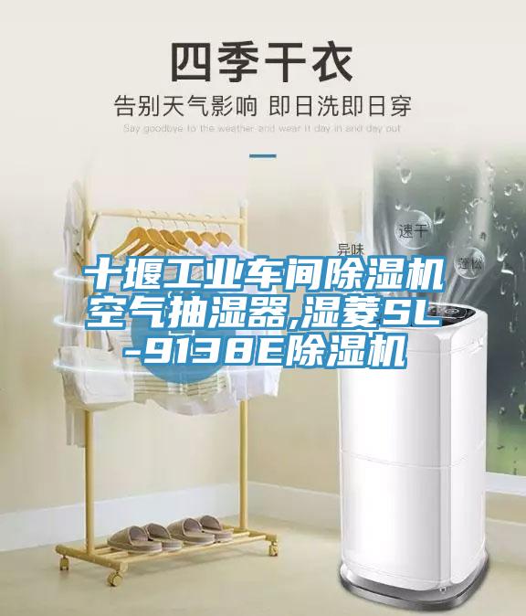 十堰工業車間蘑菇视频网站空氣抽濕器,濕菱SL-9138E蘑菇视频网站