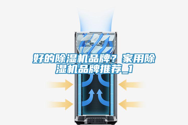 好的蘑菇视频网站品牌？家用蘑菇视频网站品牌推薦_1