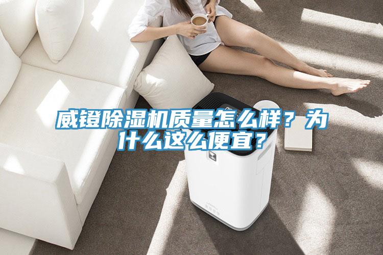 威鐙蘑菇视频网站質量怎麽樣？為什麽這麽便宜？