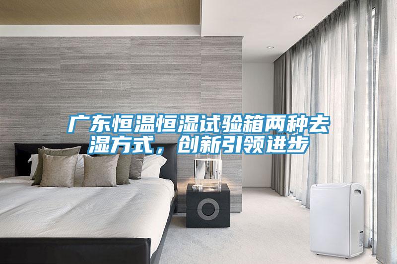 廣東恒溫恒濕試驗箱兩種去濕方式，創新引領進步