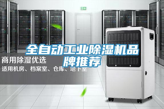 全自動工業蘑菇视频网站品牌推薦