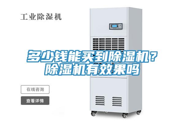 多少錢能買到蘑菇视频网站？蘑菇视频网站有效果嗎