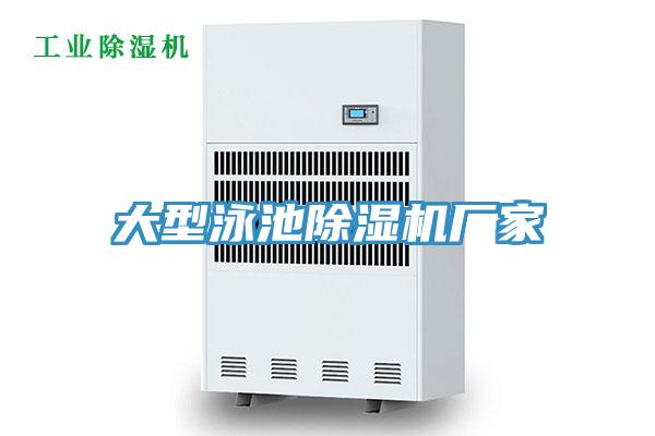 大型泳池蘑菇视频网站廠家