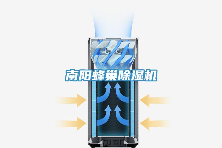 南陽蜂巢蘑菇视频网站