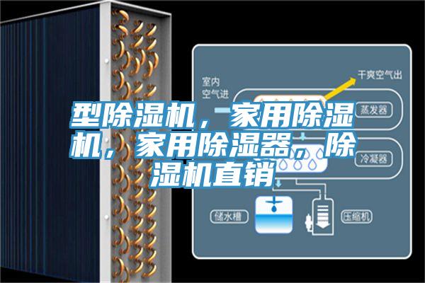 型蘑菇视频网站，家用蘑菇视频网站，家用除濕器，蘑菇视频网站直銷