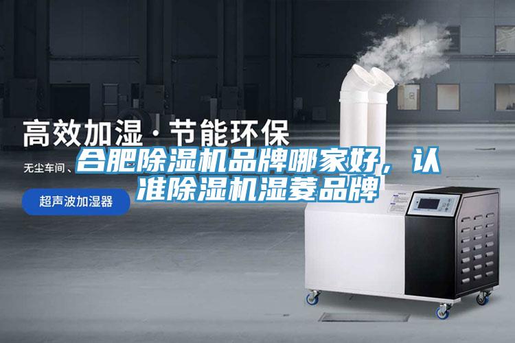 合肥蘑菇视频网站品牌哪家好，認準蘑菇视频网站濕菱品牌